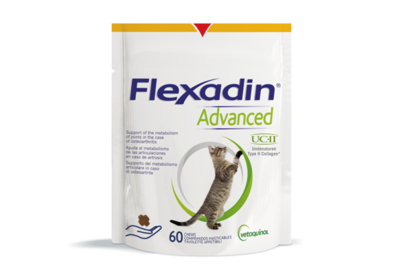 Flexadin advanced kissoille 60 purutabl